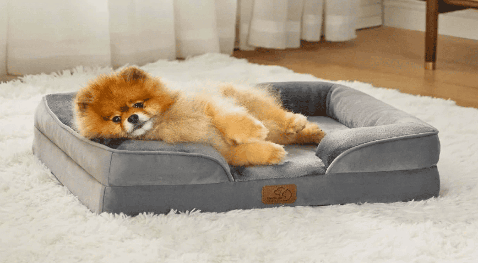 Best Memory Foam Dog Beds In 2026 (Orthopedic Picks That Actually Work ...