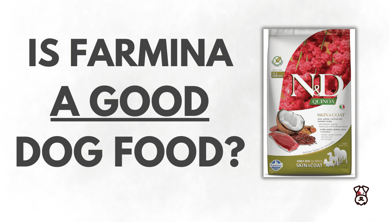 Farmina Pet Foods Dog Food - Our Honest 2025 Review - DOGGYTASTIC - Farmina Grain Free Dog Food For Thyroid Support