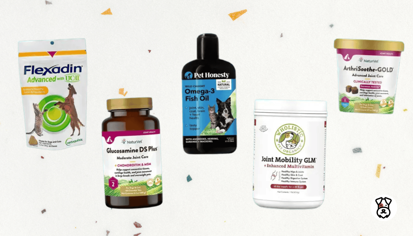 The 6 Best Dog Joint Health Supplements For 2025 - DOGGYTASTIC